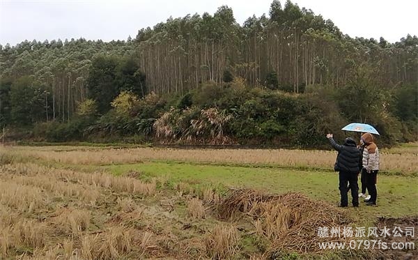 淮北市陈老师带着爱徒寻龙点穴